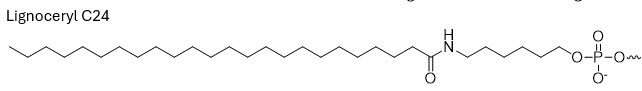 Bio-Synthesis Inc. Oligo Structure